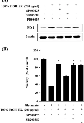 Fig. 6. Effects of GL ethanol extract induced JNK pathway activation on HO-1 expression and glutamate-induced  neuro-toxicity