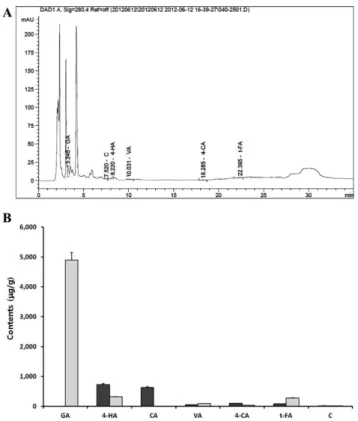 Fig. 5. Total phenol contents of steamed C.lanceolata extract.