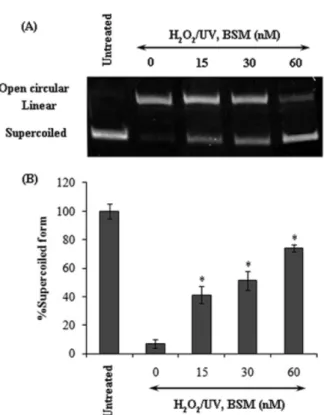 Fig. 4. Superoxide radical scavenging activities (SRSA) of BSM and L-ascorbic acid. Data are the mean±S.D