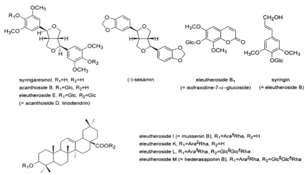Table I. Sampling of Acanthopanax  species Scientific name Region A. sessiliflorus (RUPR