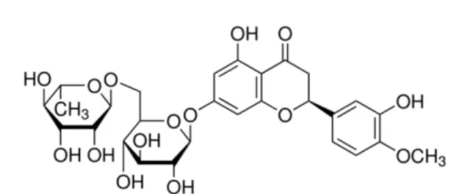 Table I. The primers used for RT-PCR 