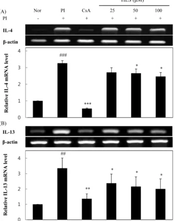 Fig. 4. Suppressive effects of HES on PI-induced activation of transcription factors (A) c-Jun, (B) c-Fos in RBL-2H3 cells RBL-2H3 cells were pre-treated with 100 µM of HES or 0.5 µM of CsA for 1 h, and then stimulated with PI for 3 h.