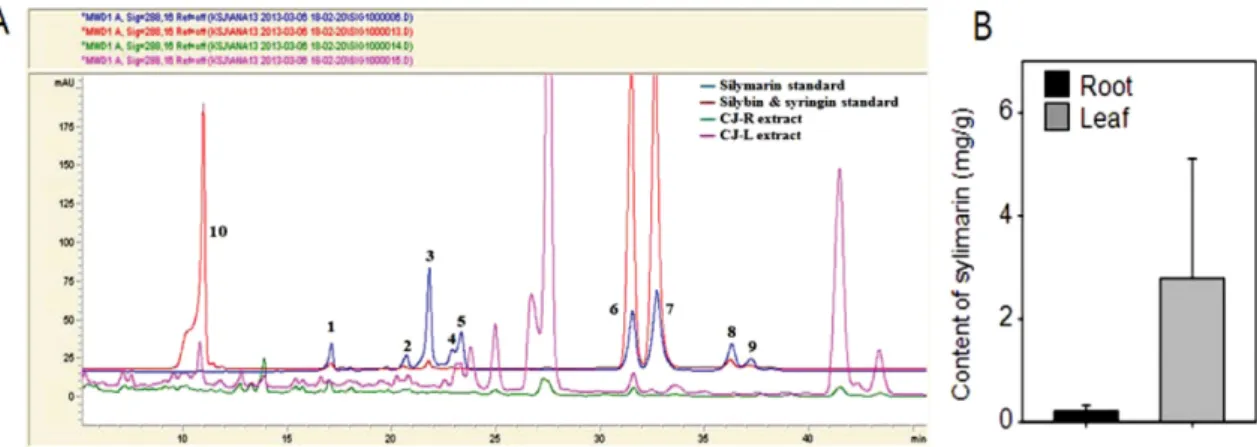 Fig. 4. Representative flavonoid and flavonoid contents in CJ-R or CJ-L extracts. Chromatogram of A: flavonoid standard