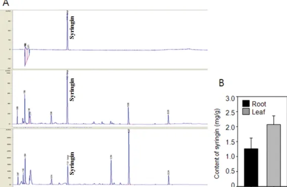Table III. Retention time (tR/min), regression equation and correlation coefficient for the simultaneous detection of active components of flavonols by HPLC