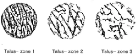 Figure  5.  Two-dimensional  micro-computed  tomography  images  were  seen  from  each  zone  of  the  lateral  malleolus  specimen.