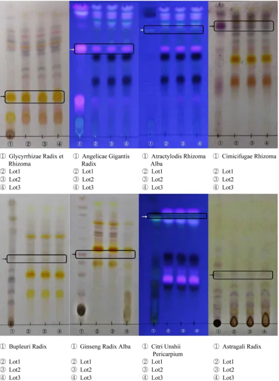Fig. 2. TLC chromatogram of reference herbal medicine and Bojungikgi-tang sample.