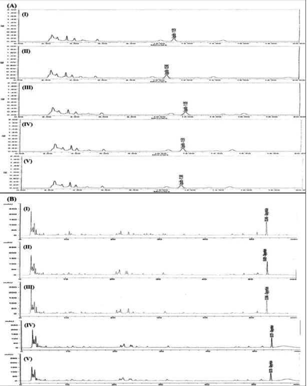 Fig. 3. HPLC chromatogram of four marker compounds in Bojungikgi-tang by long-term storage test