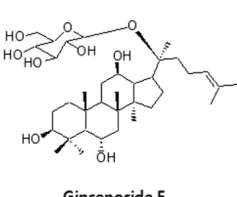 Table II. Yield and content of ginsenoside F 1  in extract and fractions from leaves of ginseng