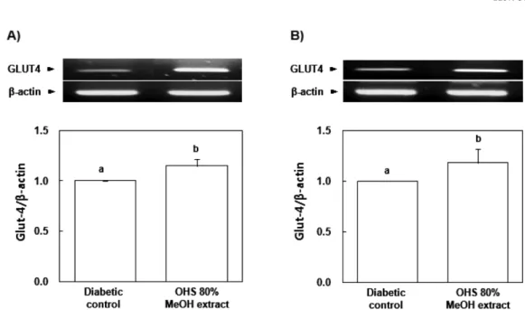 Fig. 6. Effect of OHS 80% MeOH extract on GLUT4 mRNA expression of adipose tissue (A) and muscle (B) in db/db mice