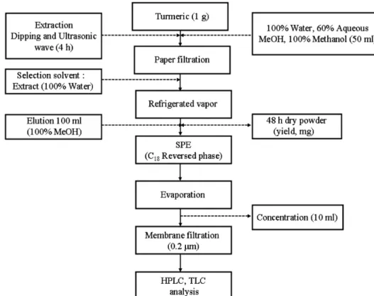 Fig. 1. Scheme of the extraction procedure for turmeric.