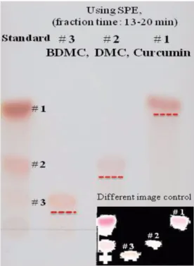 Fig. 5. TLC analysis of each sample fraction collected showing bends; curcumin (1), demethoxycurcumin (2), and bisdemethoxycurcumin (3)