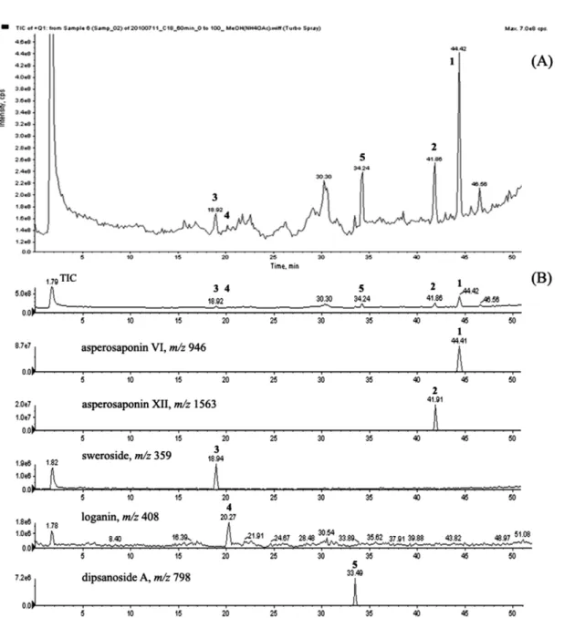 Fig. 4. TIC chromatogram (A) and SIM chromatograms (B) of a D. radix sample mobile phase: MeOH (containing 5 mM NH4Ac);