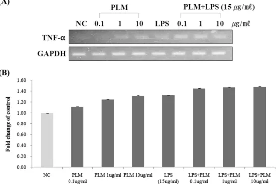 Fig. 3. The effect of Phellinus linteus mycelium extract (PLM) on IL-6 production in macrophage THP-1 differentiated by PMA.