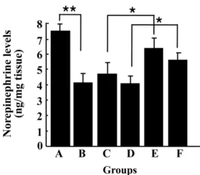 Fig. 4. Effects of GP-EX on the levels of norepinephrine in the striatum of OHDA-lesioned rats