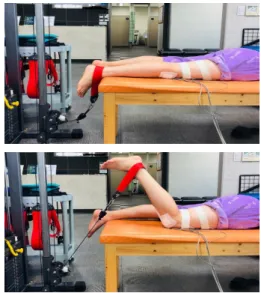 Fig. 3. supine balance exercise 