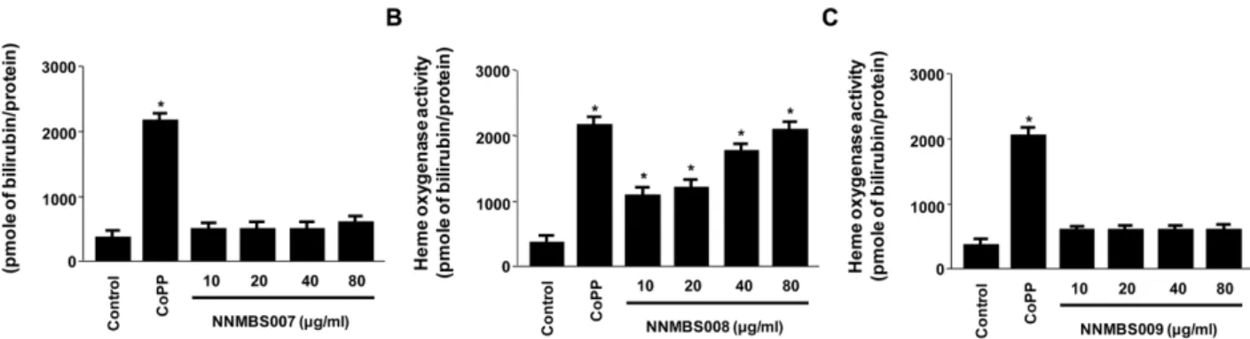 Fig. 4. Effects of NNMBS008 on HO-1 expression and HO activity in HT22 cells. (A) Cells were incubated for indicated periods with 80 µg/ml of NNMBS008