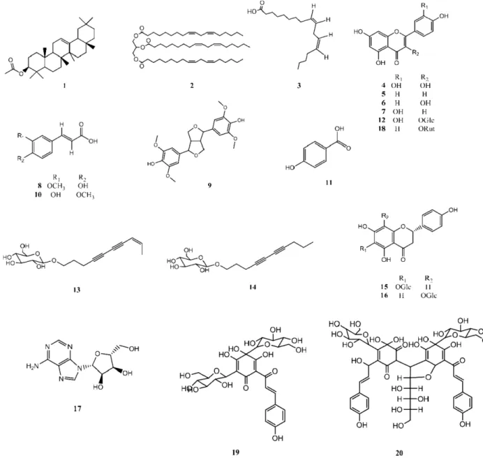 Fig. 1. Chemical structures of constituents isolated from C. tinctorius.