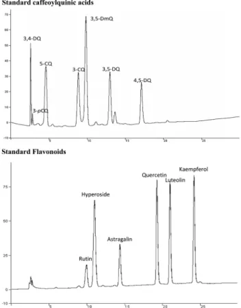Table I.  Regression equation of flavonoids