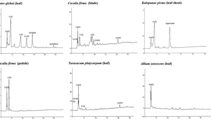Fig. 3.  HPLC chromatogam of six Korean mountainous vegetables that chicoric acid has not been detected.