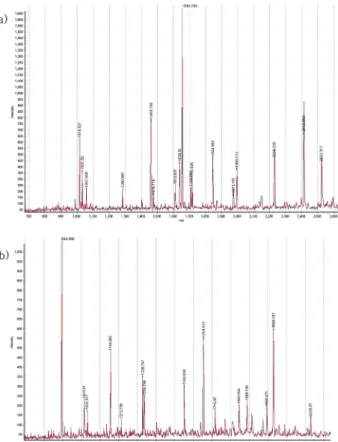 Fig. 5. Peptide fingerprints of band ‘a’ and ‘b’ obtained by MALDI-TOF mass spectrometry : Band ‘b’ is form of truncating band ‘a’