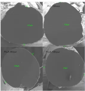 Fig. 8. The SEM image of PCL and PLLA sutures  at 45 °C.