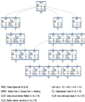 Fig. 2. Severity-adjusted mortality rate model for acute  stroke patients using decision tree