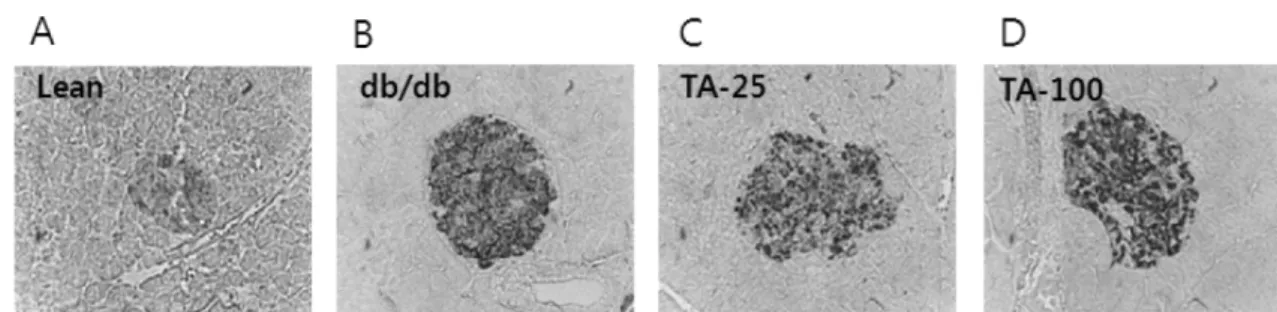 Fig. 3. The oral glucose tolerance test was performed at the initial (A) and final (B) days in all groups 60 and 120 min after oral glucose treatment (p<0.05)