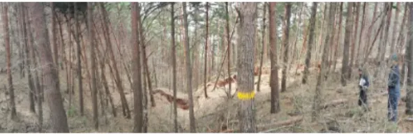 Fig. 3. Scene of UAV takeoff in survey area