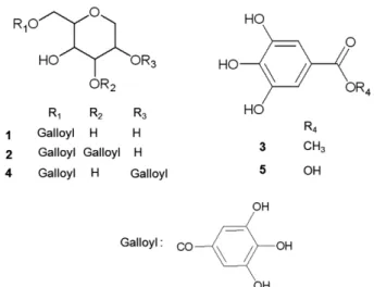 Fig. 1. The structures of compounds 1-5 from barks of Acer ginnala  Maxim.
