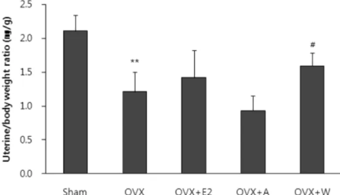 Fig. 4. Changes of serum estradiol (E2) by administration of Horse Bone Extracts in ovariectomized rats