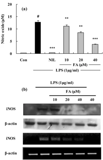 Fig. 4 . The effects of FA on LPS-induced PGE 2  in RAW 264.7 cells. (a) Effect of the FA on PGE 2  production by  LPS-induced RAW 264.7 macrophage for 24 h