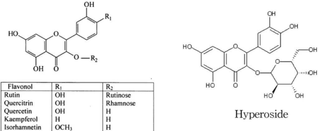 Fig. 1.  Flavonoid compounds of hawthorn berry extract and  Gingko biloba  extract.