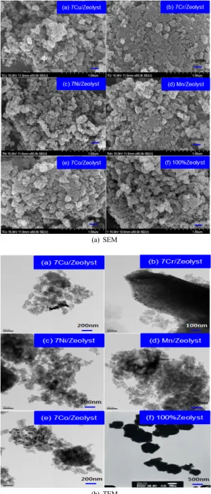 Fig. 1. SEM/.TEM image according to kind of transition  metal 