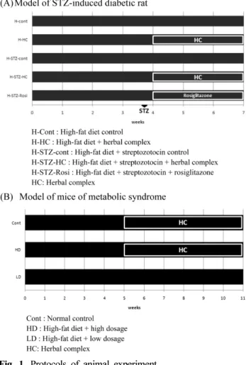 Fig. 1.  Protocols of animal experiment.