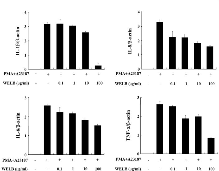 Fig. 2.  Effect of the water extract of  L. obtusiloba  (WELB) on the gene expression of proinflammatory cytokines in HMC-1 cells.