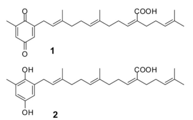 Fig. 1. Chemical structures of isolated compounds from  S.
