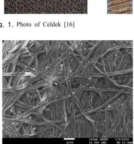 Fig. 1. Photo of Celdek [16]