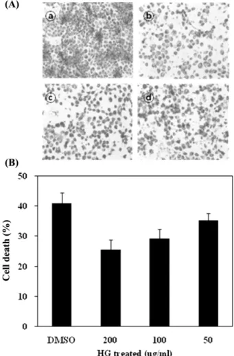 Fig. 1. Cell viability effect of HG ( Astragalus membranaceus ) 70% EtOH extract on UVB-induced cell damage in HaCaT cell system