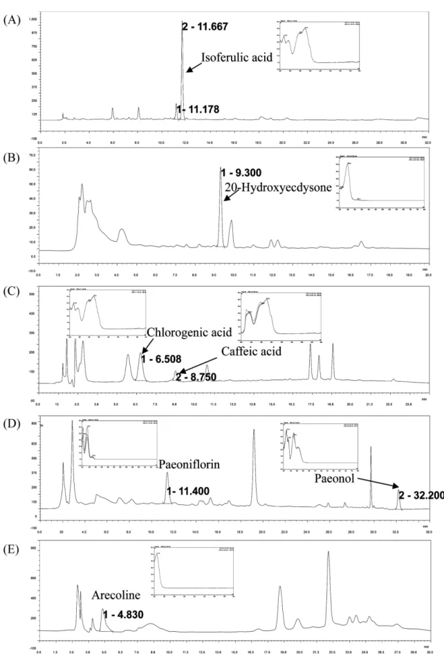 Fig. 2. HPLC chromatogram and UV spectrum of the standardized extracts