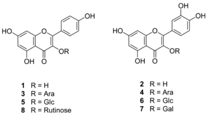 Fig. 1.  Structure of compounds  1 ~ 8  isolated from  Euphorbia supina.