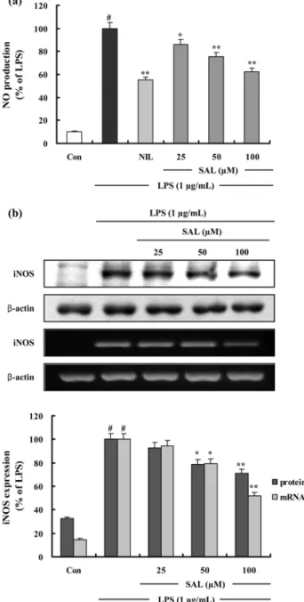 Fig. 2. The effects of SAL on LPS-Induced NO production and iNOS protein and mRNA expression in RAW 264.7 cells