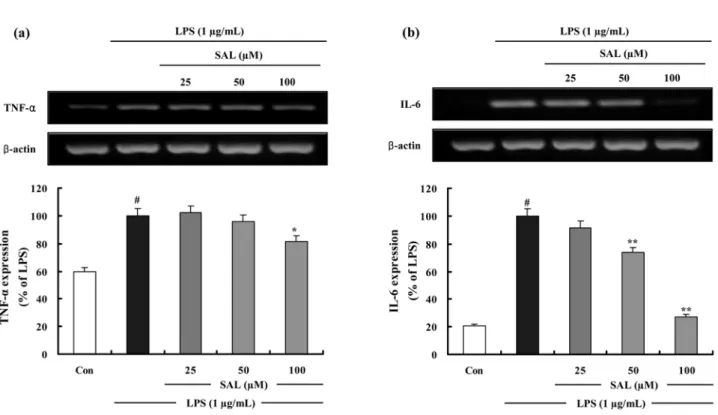 Fig. 5. The effects of SAL on LPS-induced TNF- α  and IL-6 mRNA expressions in RAW 264.7 cells
