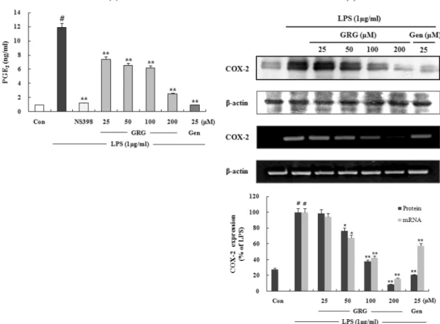 Fig. 4. The effects of GRG on LPS-Induced PGE 2  and COX-2 protein and mRNA expressions in RAW 264.7 Cells