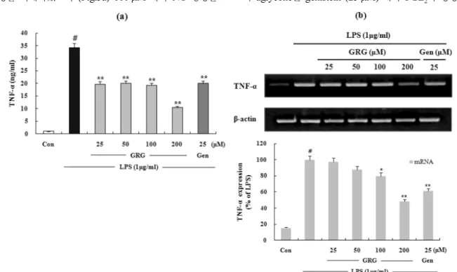 Fig. 5. The effects of GRG and genistein on LPS-induced TNF- α  release and mRNA expression in RAW 264.7 cells