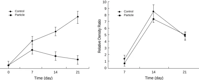Fig. 3. Activity of akaline phosphatase in particle group is lower than that of control group at day 7 and day 14 of exposure, but there is no significant difference