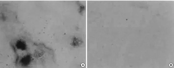 Fig. 9. Effect of OVA on the formation of bone nodules during the MC3T3-E1 cells differentiation