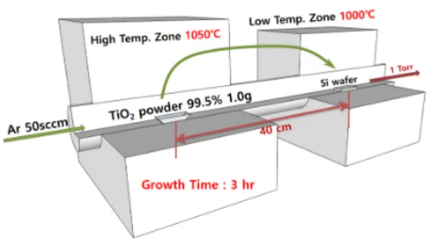 Fig. 1. Schematic diagram of vapor transport method  for vertical growth of amorphous SiO x