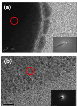 Fig. 5. HR-TEM images of amorphous SiO x  nano-pillars  of (a) head part and (b) body part of Fig