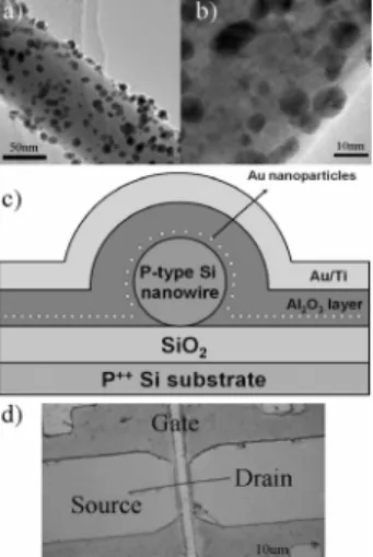 Figure  1(a)  and  1(b)  shows  transmission  electron  microscopy  (TEM)  and  high  resolution  transmission  electron  microscopy  (HRTEM)  image  of  structure  of  the  p-type  Si  nanowires  wrapped  Au  nanoparticles