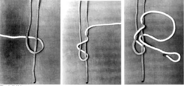 Fig. 4. SMC knot: